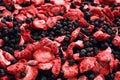 Closeup of freeze dried blueberries and strawberries as background Royalty Free Stock Photo