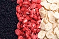 Closeup of freeze dried blueberries, strawberries and bananas as background, top view Royalty Free Stock Photo