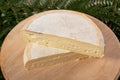 Closeup of french cheese reblochon, Savoie product