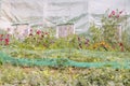 Closeup into a french vegetable garden with greenhouse for background Royalty Free Stock Photo