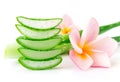 Closeup fresh aloe vera slice with plumeria on white background, beauty and healthy care concept Royalty Free Stock Photo