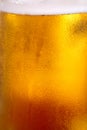 Closeup with fresh beer Royalty Free Stock Photo