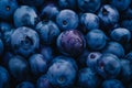 Closeup of fresh blueberries Royalty Free Stock Photo