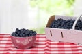 Closeup of fresh blueberries filled in a paper basket and in a ceramic bowl on a red checked napkin in front of abstract blurred Royalty Free Stock Photo