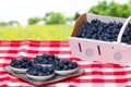 Closeup of fresh blueberries filled in a paper basket and a plate with four bowls on a red checked napkin over abstract blurred Royalty Free Stock Photo