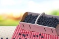 Closeup of fresh blueberries filled in a paper basket on a red checked napkin or tablecloth in front of abstract blurred summer Royalty Free Stock Photo