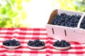 Closeup of fresh blueberries filled in a paper basket and in three bowls on a red checked napkin or tablecloth over abstract Royalty Free Stock Photo