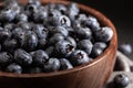 Closeup of a Bowl of Fresh Blueberries Royalty Free Stock Photo