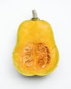 Closeup of fresh butternut squash on white background Royalty Free Stock Photo