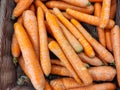 Closeup on Fresh carrots at the local market