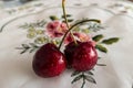 Closeup of fresh cherries with waterdrops on a plate