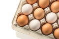 Closeup fresh chicken eggs arranged in a paper tray