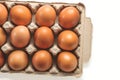 Closeup fresh chicken eggs arranged in a paper tray