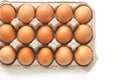 Closeup fresh chicken eggs arranged in a paper tray