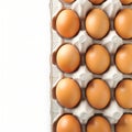 Closeup fresh chicken eggs arranged in a paper tray