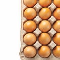 Closeup fresh chicken eggs arranged in a paper tray