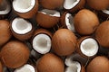 Closeup of fresh coconuts, top view, seamless pattern. Generative Ai Royalty Free Stock Photo