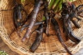 Closeup of fresh comfrey or Symphytum root on a table Royalty Free Stock Photo