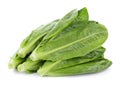 Fresh cos lettuce isolated on white background Royalty Free Stock Photo