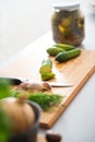 Closeup of fresh cucumbers, dill, garlic, onion and pickling jar Royalty Free Stock Photo
