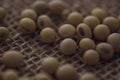 Closeup of fresh dry soybean seed  on sack background Royalty Free Stock Photo