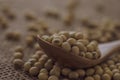 Closeup of fresh dry soybean seed in  spoon on sack background Royalty Free Stock Photo