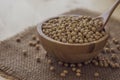 Closeup of fresh dry soybean seed in wooden bowl with spoon on sack background Royalty Free Stock Photo