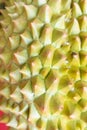 fresh durian texture at Thailand Royalty Free Stock Photo