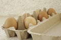 Fresh eggs in brown egg carton package Royalty Free Stock Photo