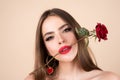 Closeup fresh face girl. Brunette woman with red rose. Beautiful girl with reses flowers. Closeup face of young Royalty Free Stock Photo