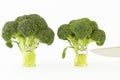 Fresh broccoli with scared cartoon style faces on white background Royalty Free Stock Photo