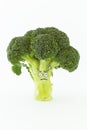 Fresh broccoli with scared cartoon style faces on white background Royalty Free Stock Photo