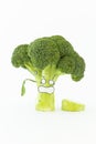 Fresh broccoli with scared cartoon style faces on white background Royalty Free Stock Photo