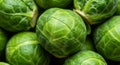 Closeup of Fresh Green Brussels Sprouts Royalty Free Stock Photo