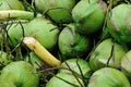 Closeup of green coconuts For Sell On Street