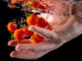 Closeup of fresh and health cherry tomatoes falling into clear water with big splash on black background. Group of fresh tomatoes Royalty Free Stock Photo