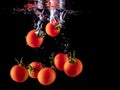 Closeup of fresh and health cherry tomatoes falling into clear water with big splash on black background. Group of fresh tomatoes Royalty Free Stock Photo