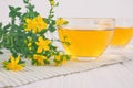 Closeup of fresh herbal tea in transparent cups and Hypericum flowers on white table. Alternative medicine, herbalism