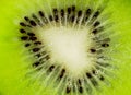 Kiwi Fruit Slice. Macro seeds. Fresh Green Kiwi slice.