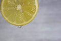 Closeup of a fresh lemon slice with a drop of juice on gray defokus bekraund. Health concept.