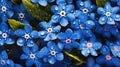 closeup fresh myosotis forget-me-not with droplets of water background seamless generative AI