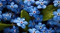 closeup fresh myosotis forget-me-not with droplets of water background seamless generative AI