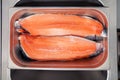 Closeup fresh norwegian salmon fillet fish in metal bowl tray on professional restaurant kitchen. Textured background. Concept Royalty Free Stock Photo