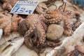 Octopuses at a Greek market Royalty Free Stock Photo