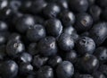 Closeup of fresh organic blueberries Royalty Free Stock Photo
