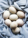 Closeup of fresh organic duck eggs Royalty Free Stock Photo