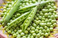 Closeup of fresh organic green peas in a bowl Royalty Free Stock Photo