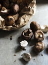 Closeup of fresh organic shiitake cremini mushroom