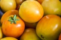 Closeup of fresh and partially ripe Philippine tomatoes for sale at a small market stall