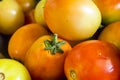 Closeup of fresh and partially ripe Philippine tomatoes for sale at a small market stall